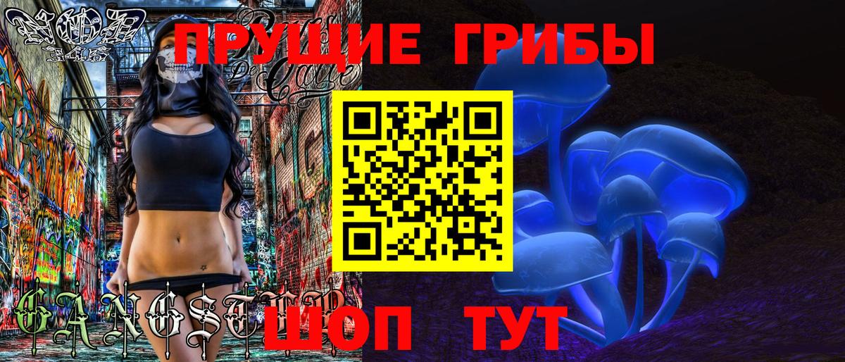 Псилоцибиновые грибы MAGIC MUSHROOMS  Вход с VPN  Галлюциногенные грибы прущие грибы  Кизилюрт 